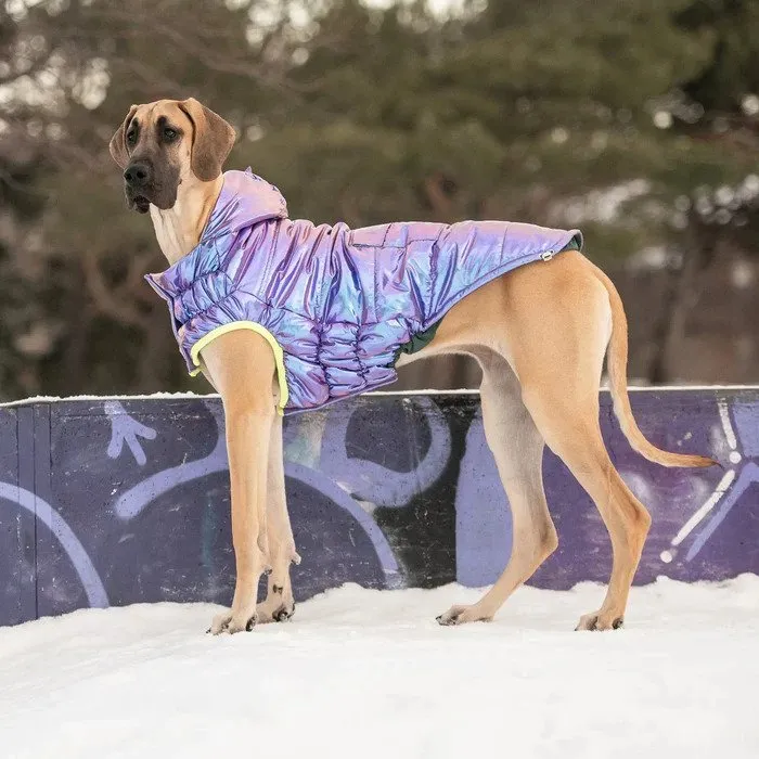 Parka Dog Coat-Iridescent
