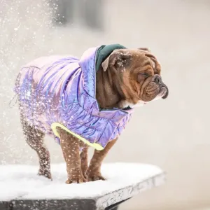 Parka Dog Coat-Iridescent